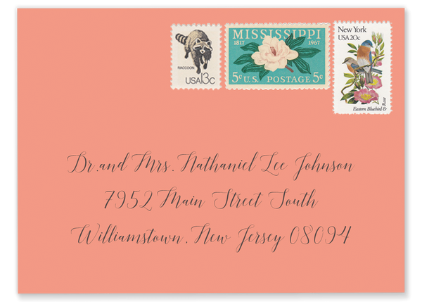 inexpensive wedding calligraphy envelope addressing