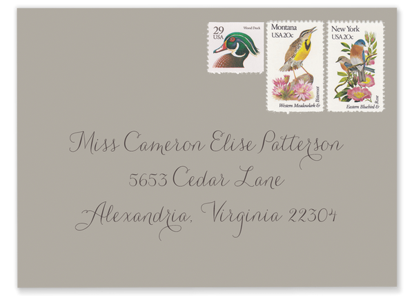 cheap envelope addressing on brown envelope