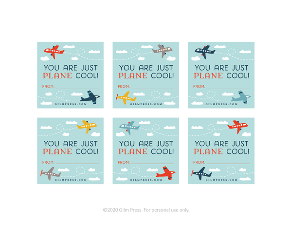 You are Just Plane Cool valentine