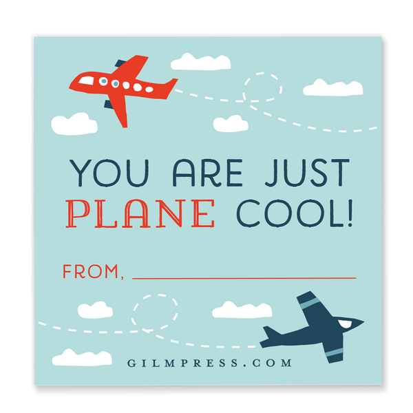 You are Just Plane Cool valentine